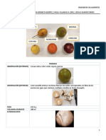 Practica1_DescripciónMorfologicayBotanica 2.pdf