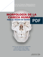 Morfologia de La Cabeza Humana