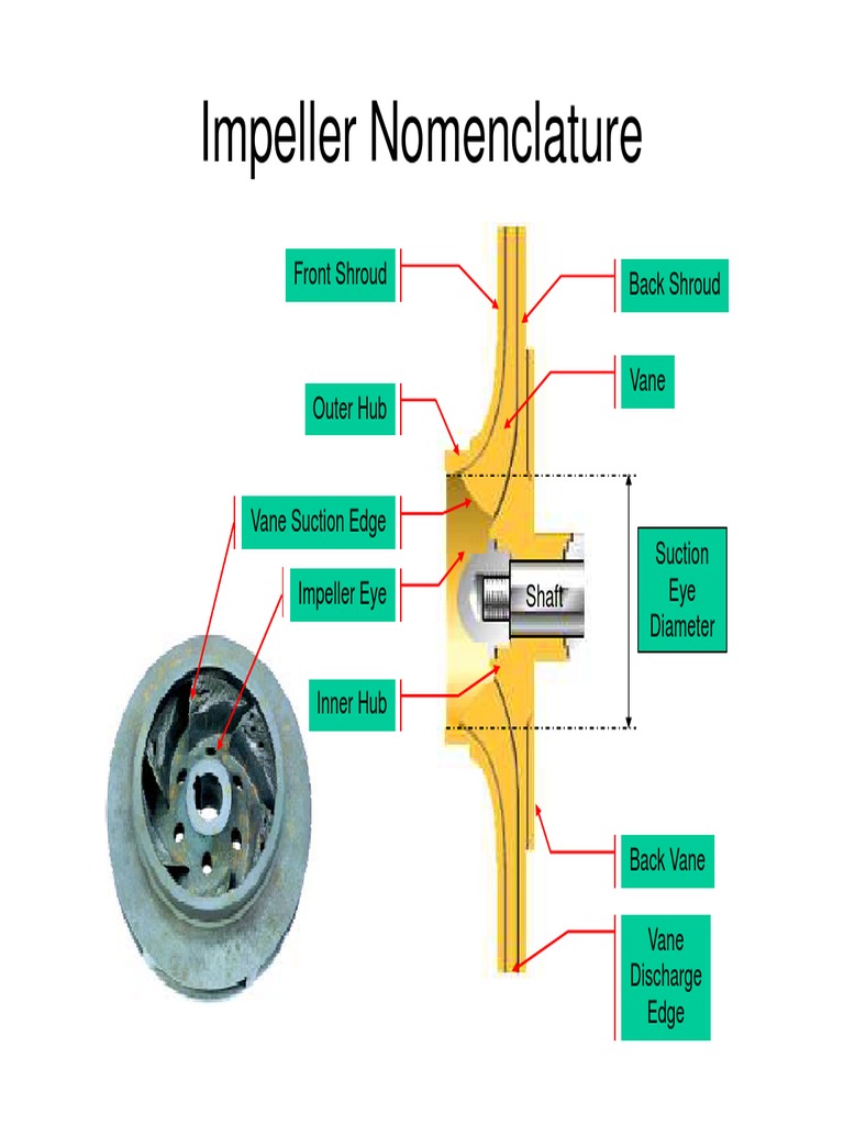 Impeller Eye Compatibility Mode PDF Pump Fluid Dynamics