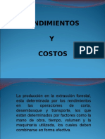 Rendimientos y Costos.ppt