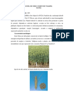 Glosa PDF