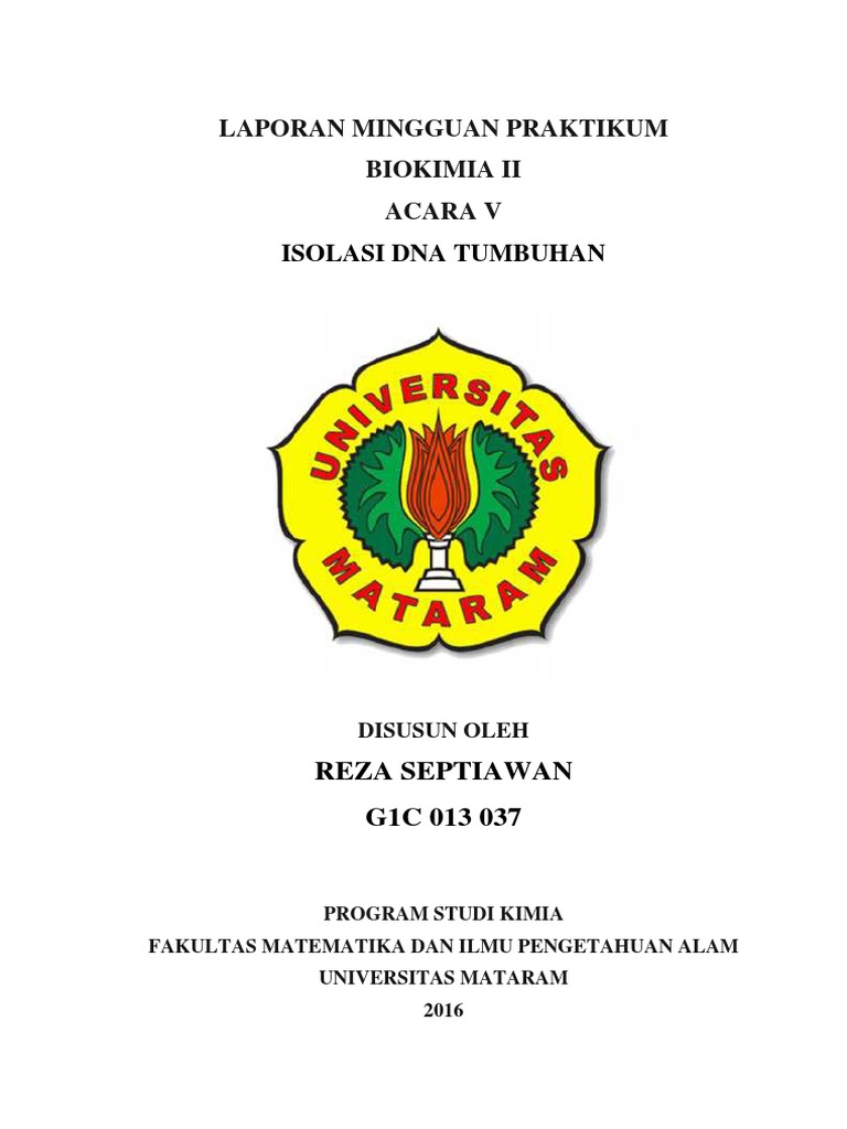 Jurnal Isolasi Dna Genom Bawang Bombay DNA Informasi