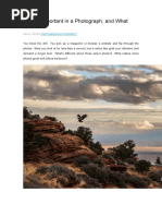 Whats Important in a Photograph and What Isnt