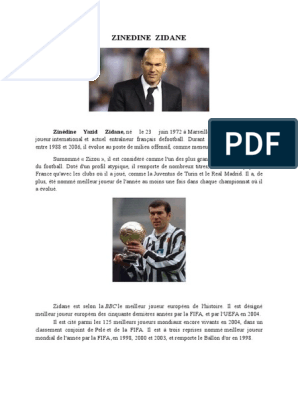 Реферат: Zinedine Zidane