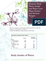 Human's Body Water Intake and Loss: Major Routes and Normal Ranges