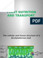 Plant Nutrition and Transport