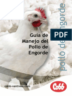 MANEJO DEL POLLO DE ENGORDE