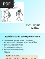 A Evolução Humana