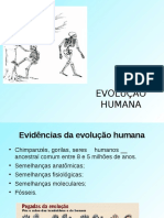 A Evolução Humana