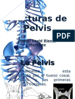 Fracturas de Pelvis