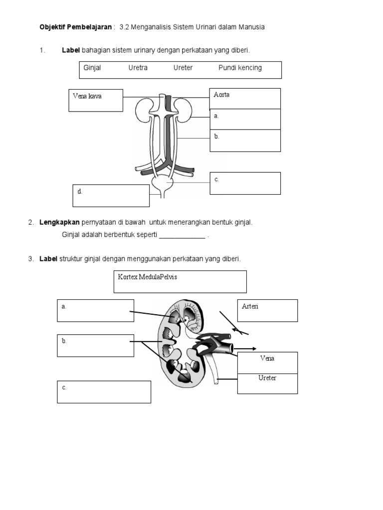 Modul Latihan Sains Tingkatan 3 Pdf