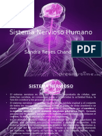 Tarea 2, Anatomofisiologia, Iacc