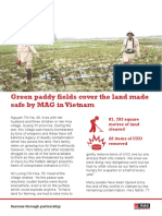 Green Paddy Fields Made Safe by MAG