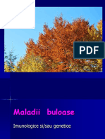Joi 23.04.2016. Maladi Buloase_2016 Prof.simionescu