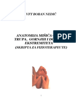 157156811-Anatomija-misica.pdf
