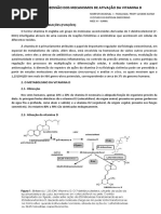 Ativação Da Vitamina d