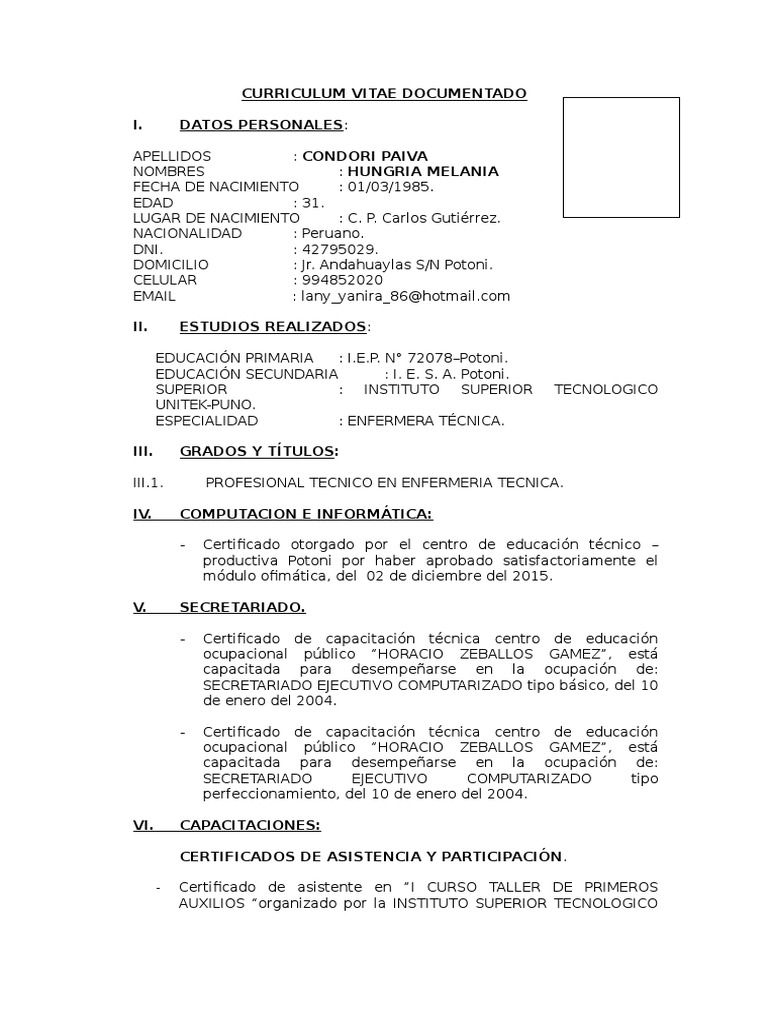 Curriculum vitae sample pdf image