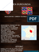 Regiunea Burgundia