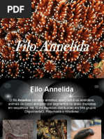 aneldios-131003210631-phpapp02