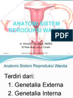 Anatomi Sistem