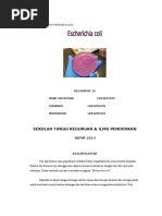 Download MAKALAH E COLI by Angga Sulistyo SN315611886 doc pdf