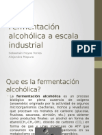 Fermentacion Industrial