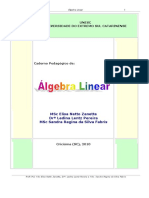 Apostila_AlLinear_2010_U1.pdf