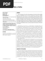 Cell Migration From Baby to Mother