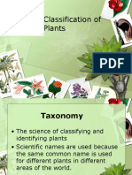 Scientific Classification of Plants