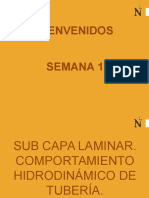 Subcapa Laminar