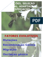 Biologia - Mutação, Adaptação, Seleção Natural e Especiação