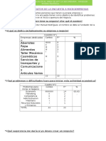 Recopilacion de Datos de La Encuesta a Microempresas