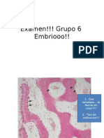 Examen!!!_Grupo_6__Embriooo!!