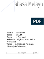 Nama: Sridhar Kelas: 5UM Guru: PN - Hani Sekolah: High School Bukit Mertajam Tajuk: Ambang Remaja (Remaja&Cabaran)