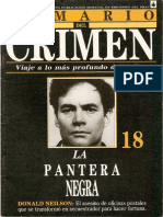 18-La Pantera Negra