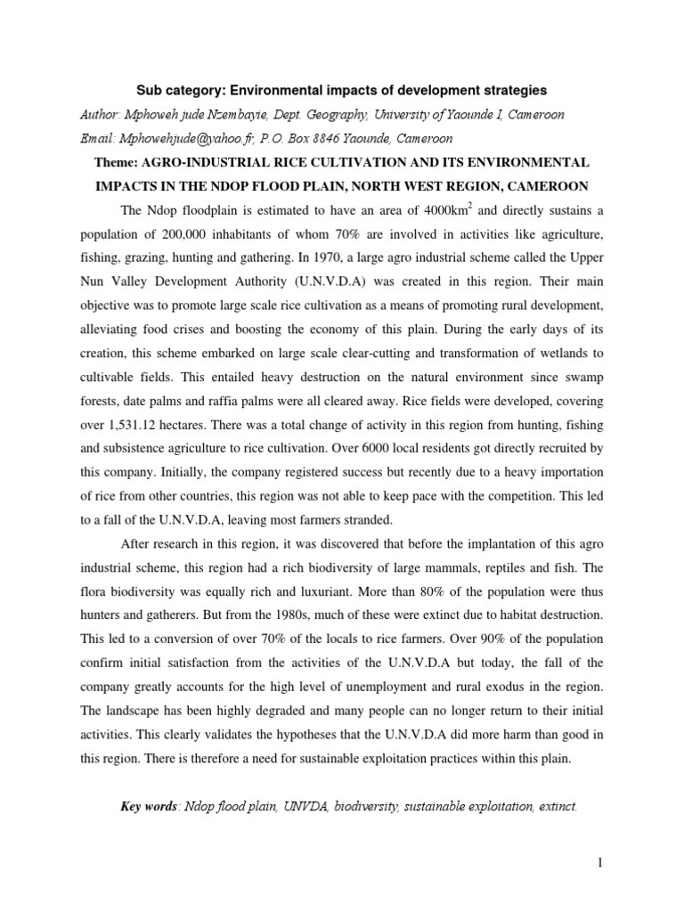 Rice production thesis image