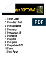 SOP-TOMAT-Final.pdf