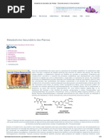 Metabolismo Secundário Das Plantas - Óleos Essenciais _ O Guia Do Brasil
