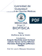 Biofísica de La Visión