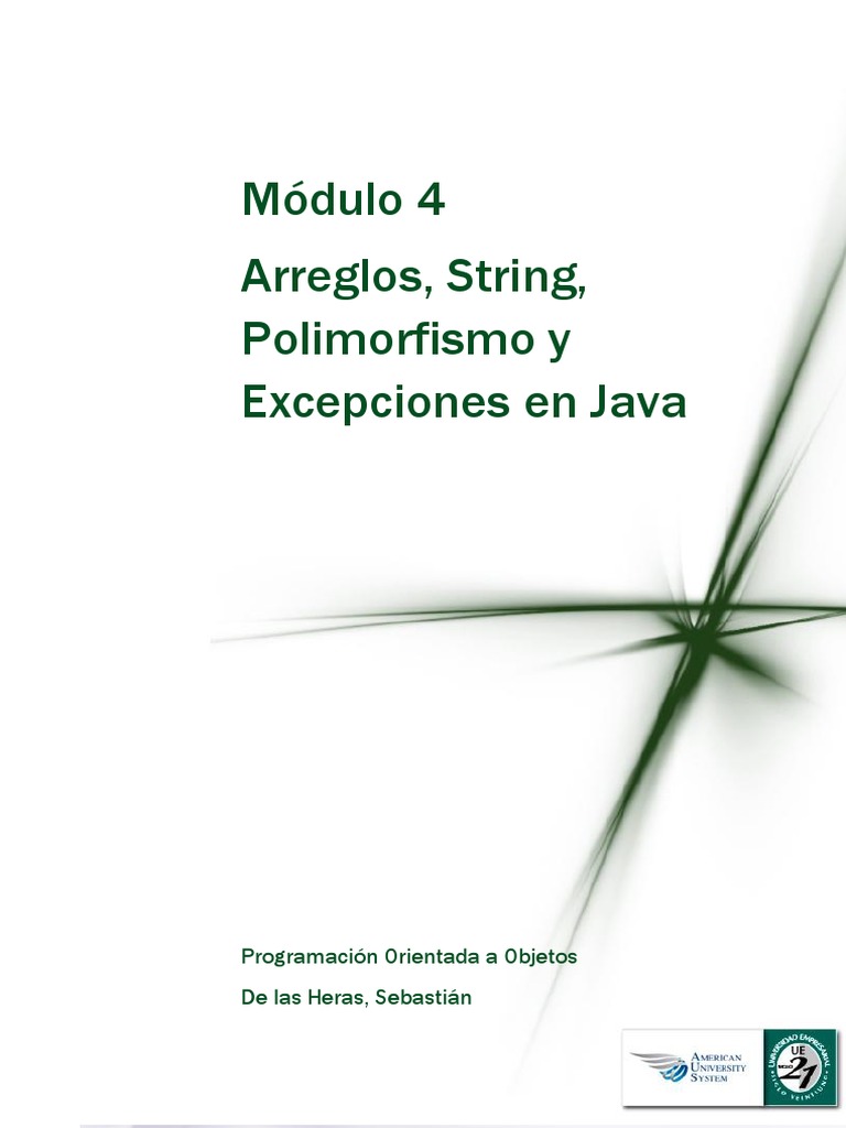 Arreglos String Polimorfismo y Excepciones en Java | PDF | Estructura ...