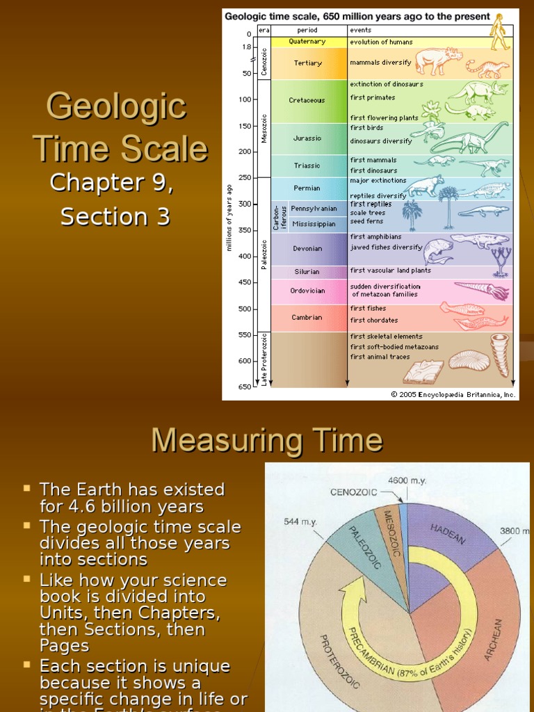 Understanding the Geologic Time Scale | PDF | Geologic Time Scale ...