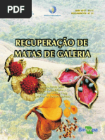 Manual Recuperacao Florestas de Galeria