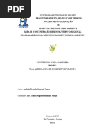 Bambu Construção de Galpão.pdf
