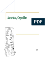 Ascaridae, Oxyuridae2011