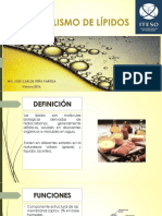 Sesión_lípidos.pdf