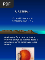 Oftalmologia Basica Retina