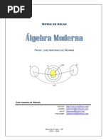 2009 1 Algebra Moderna Apostila