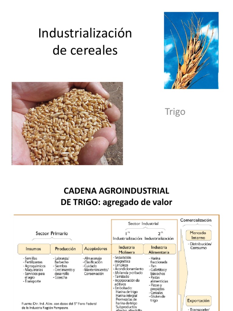 Cadena Agroindustrial del Trigo | PDF | Trigo | Cereales