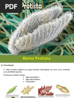 Reino_Protista.pdf