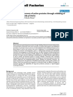 Strategies For The Recovery of Active Proteins Through Refolding of Bacterial Inclusion Body Proteins